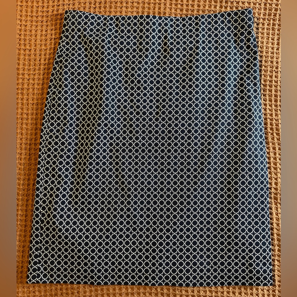Navy & White Pencil Skirt